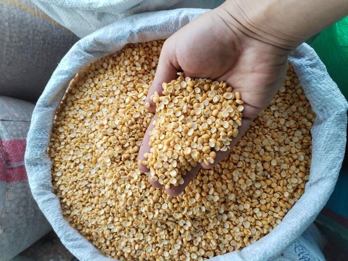 Non-GMO Bulk Split Peas Supplier for School Feeding Initiatives; Certified Quality & Sustainable Food Security